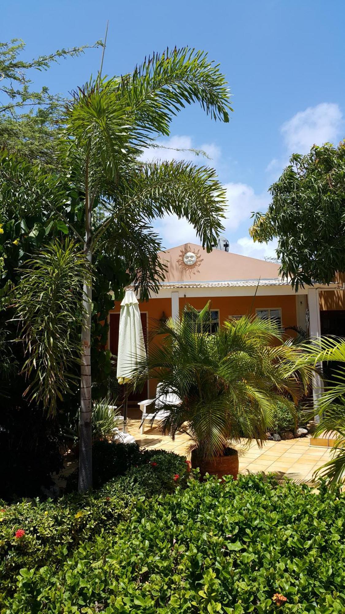 Brisas Studio Apartments (Adults Only) Palm Beach Room photo